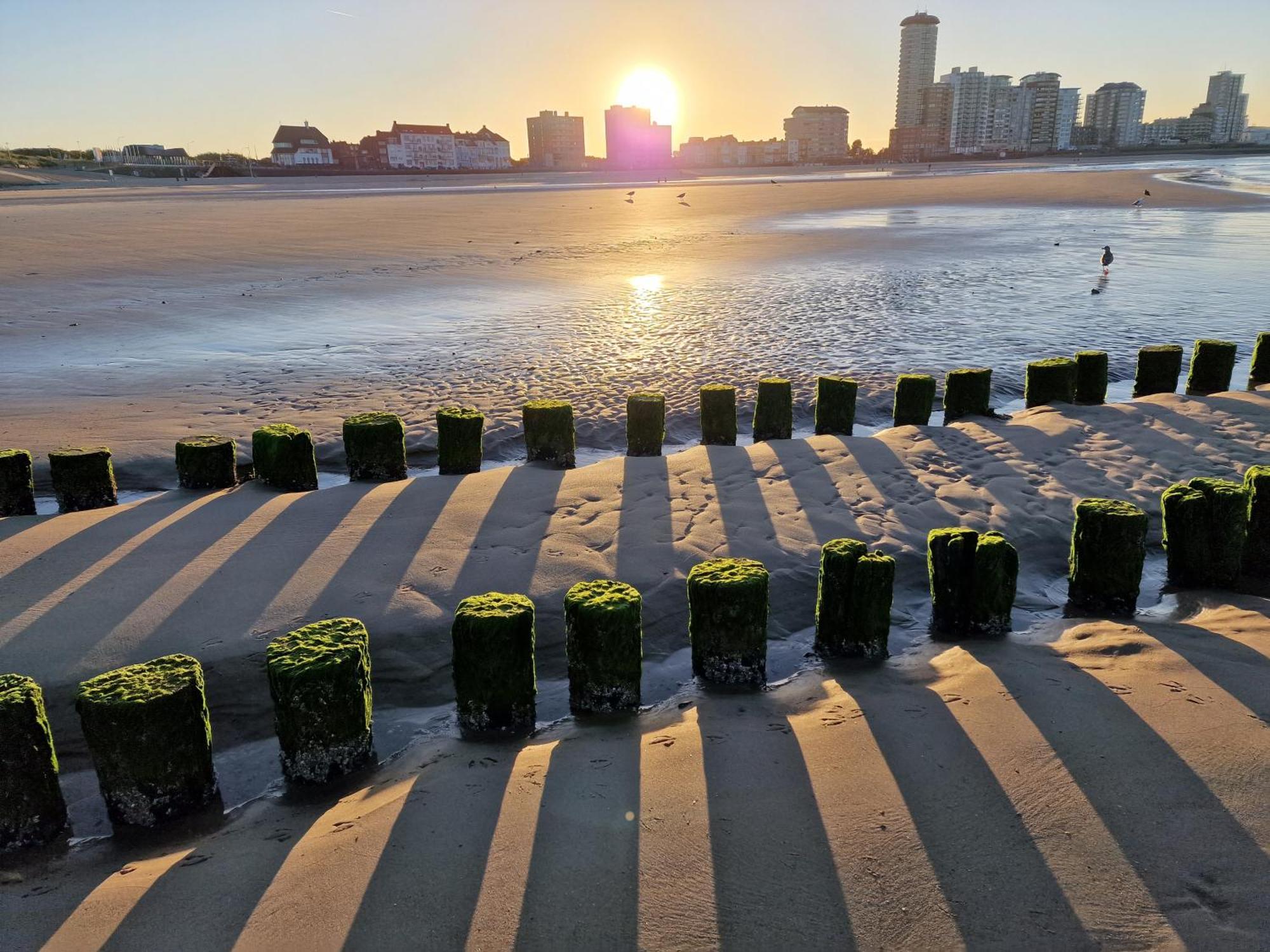 B&B Van Zon Aan Zee Vlissingen Buitenkant foto